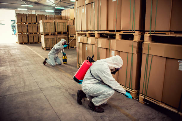 Best Cockroach Control Services  in Lake Hallie, WI