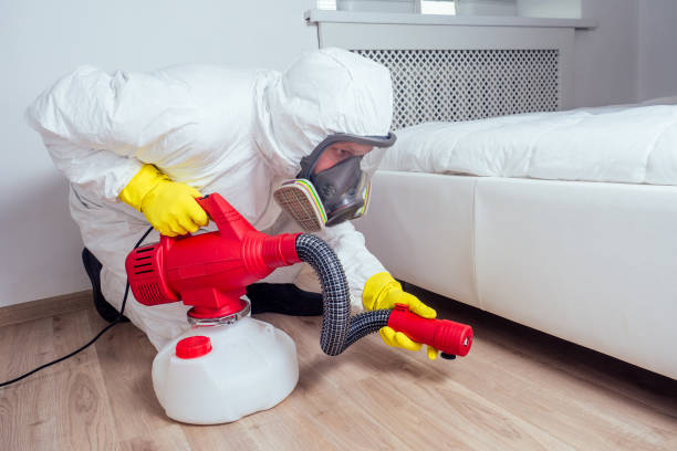 Best Best Pest Control Companies  in Lake Hallie, WI