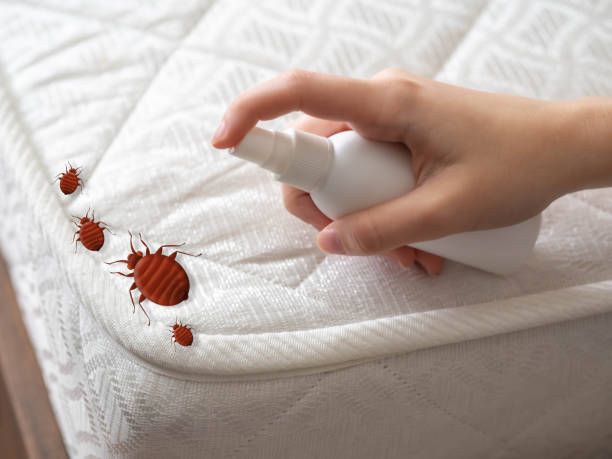Best Pest Prevention Services  in Lake Hallie, WI