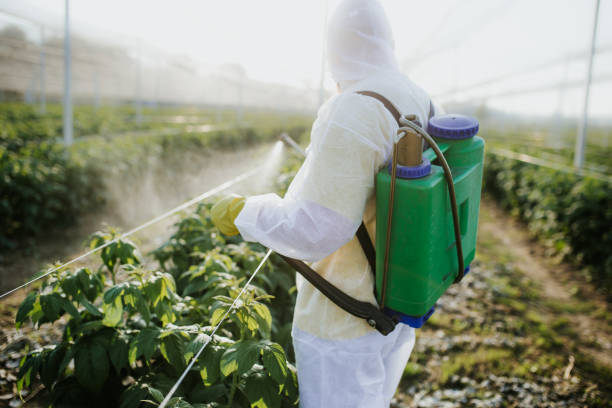 Wildlife Control Services in Lake Hallie, WI